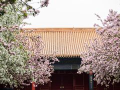 -故宫博物院(故宫)