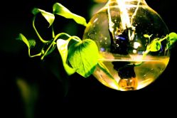 -周忆刺青原创设计定制