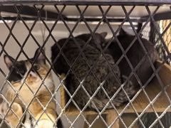 -么么咖啡(燕郊店)