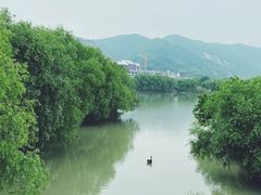 -长兴太湖图影湿地文化园