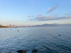 -深圳湾公园(南山区)