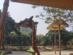 -深圳野生动物园