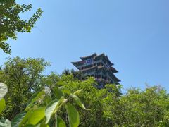 -永定河休闲森林公园