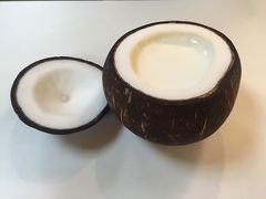 -志龙皇冠吃货椰子铺