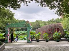 -陈家山荷花公园