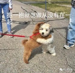 -苏州卫康美容医院