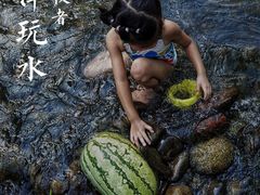 -稻香村鱼庄