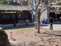 -护国法轮寺