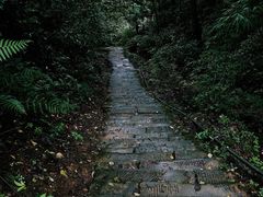 -青城山