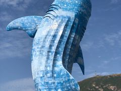 -珠海长隆海洋王国