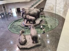 -大庆市博物馆