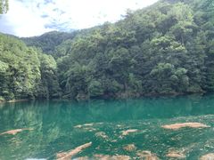 -缙云山景区
