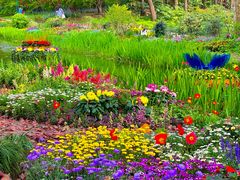 -上海共青森林公园