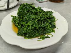 -协和菜馆(凤凰街店)