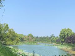 -西安浐灞国家湿地公园