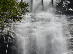 -九龙江国家森林公园