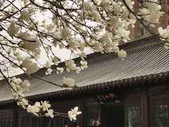-护国法轮寺
