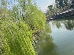 -上海浦江郊野公园-3号停车场