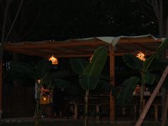 -Supine Bistro溯泮餐厅