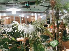 大堂-春润大地海南椰子鸡(沙井京基百纳广场店)