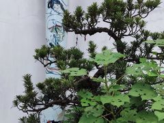 -程十发艺术馆