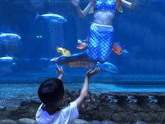 -华夏文旅海洋公园