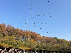 -音乐台