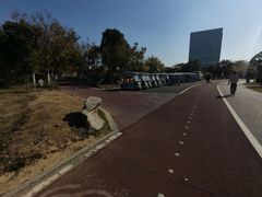 -瑶湖郊野森林公园