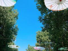 -溱湖国家湿地公园