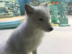 -华夏文旅西安度假区