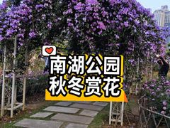 -南宁南湖公园