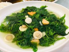 -东江渔村·古典园林·30年粤菜老字号(太和店)