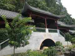 IMG_6392-广州神农草堂中医药博物馆