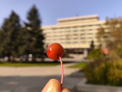 -东北农业大学