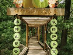 -大岭沟猕猴桃谷风景区