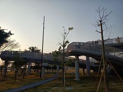 -华侨公园