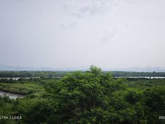 -福田红树林生态公园