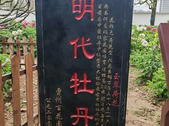-曹州百花园