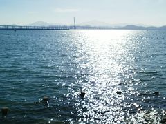 -深圳湾公园(南山区)