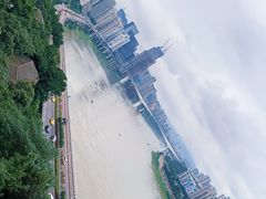 -李子坝梁山鸡(李子坝大鸡哥店)