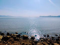 -深圳湾公园(南山区)