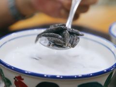 椰汁鸡屎藤-文昌邓记清补凉(西沙路店)