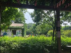 -白马涧龙池景区