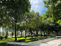-顺峰山公园