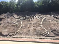 -哈尔滨北方森林动物园