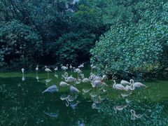-广州动物园