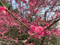 -白塘生态植物园