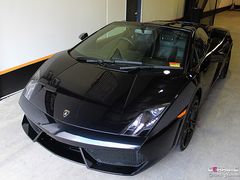 -珠海尊车汇龙膜精英店