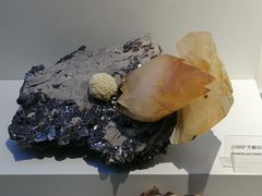 -重庆自然博物馆(新馆)