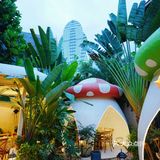 来版纳[泰椰天香]就能尝遍六国料理!🎉